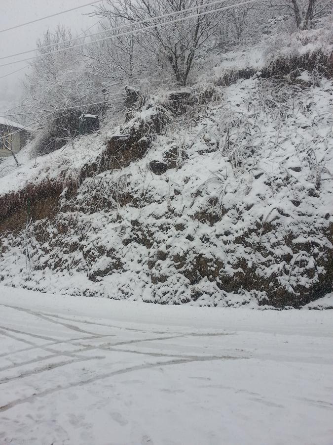 Holiday Bnb Manali Zewnętrze zdjęcie